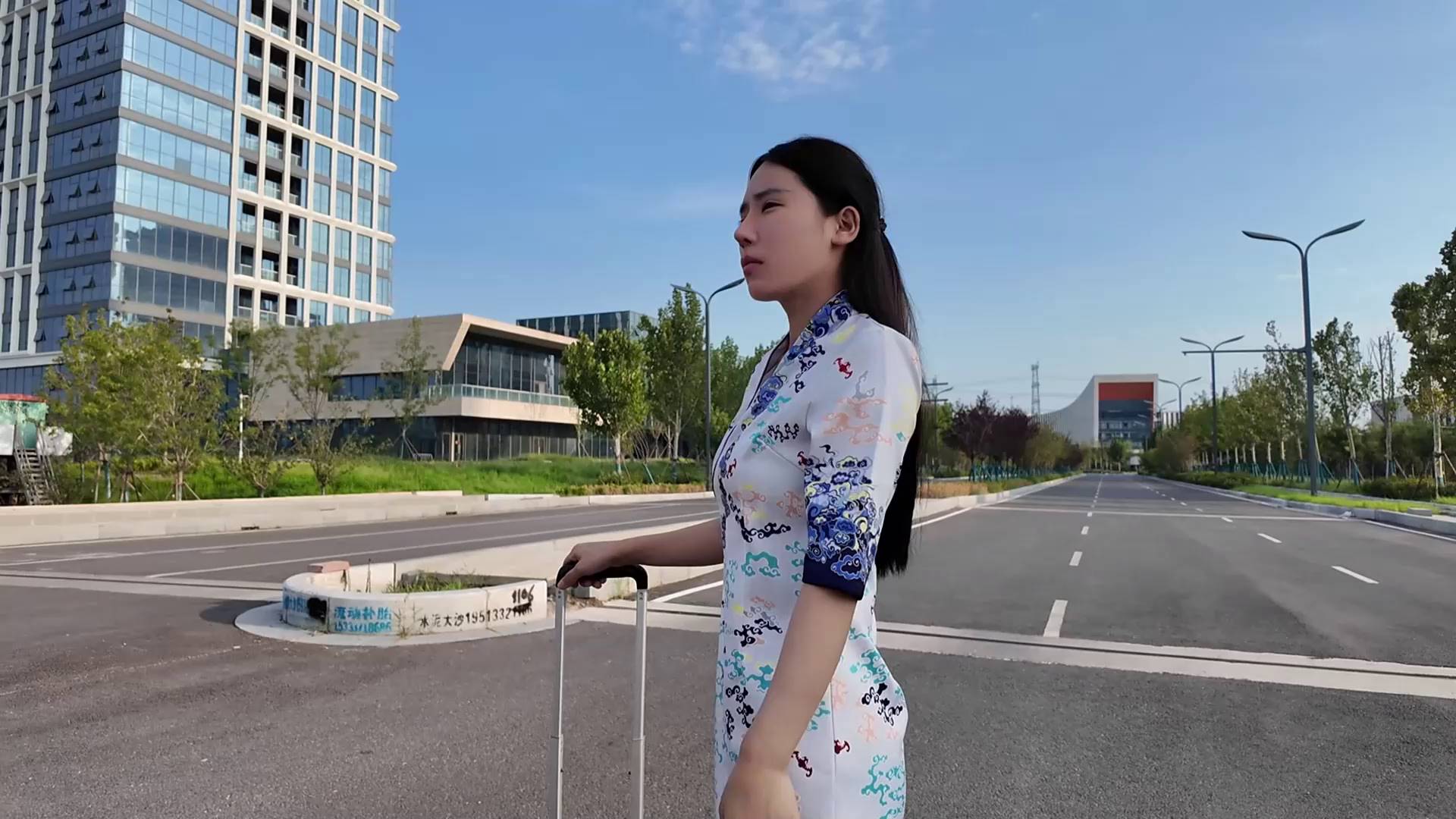 李大侠原创 被驯服的空姐之十一